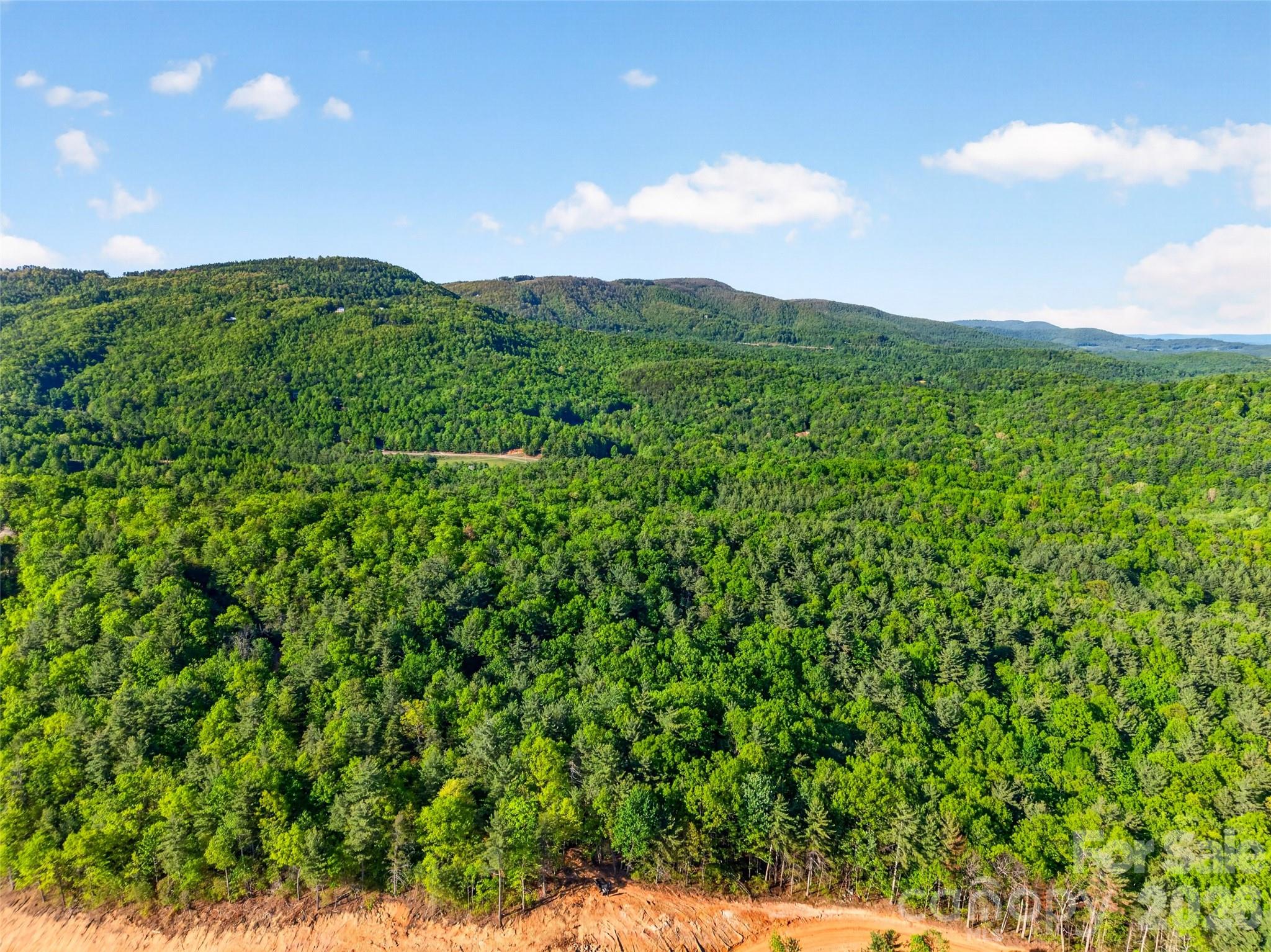 451 Signal Tree Road Deep Gap, NC 28618 - Photo 21 of 26