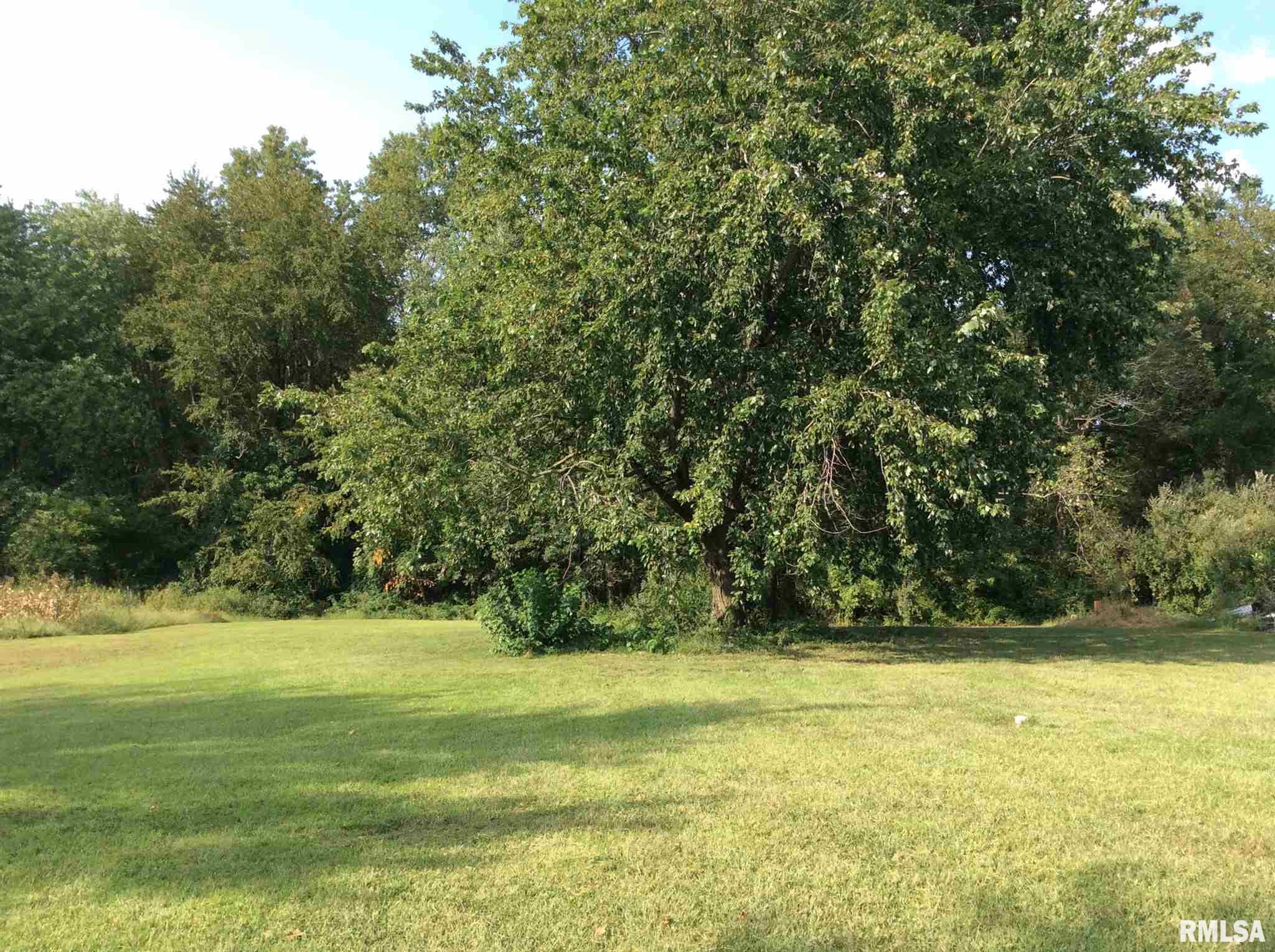 16824 East Payton Road Opdyke, IL 62872 - Photo 39 of 49 Gallery Image 39