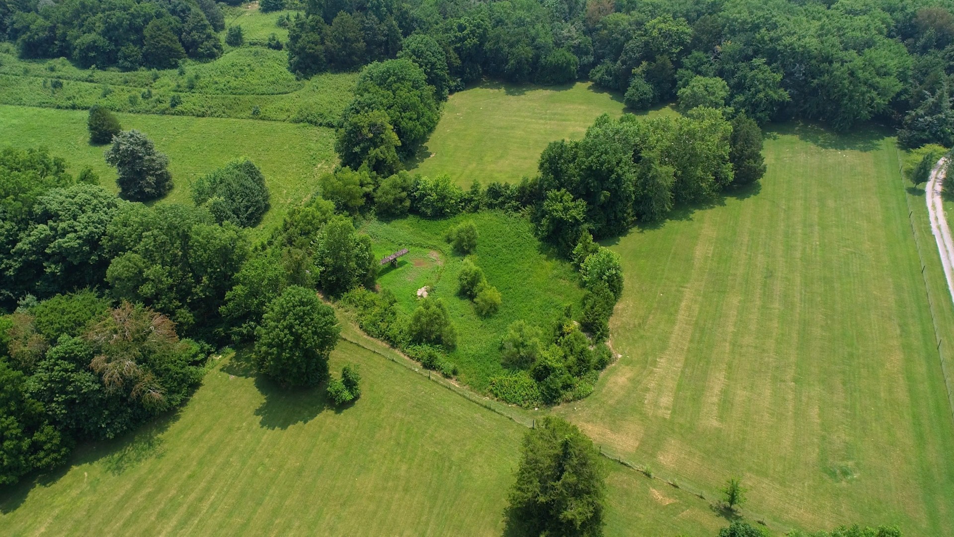 656 Greenvale Road Milton, TN 37118 - Photo 42 of 43 a view of a garden with a lake