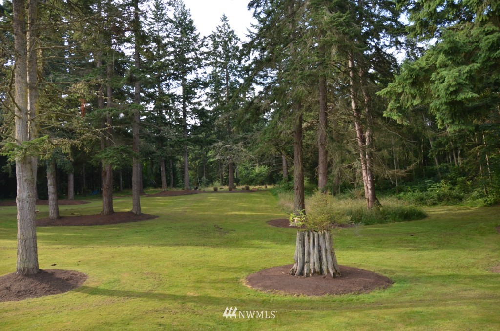 487 Cook Road Camano Island, WA 98282 - Photo 11 of 15 Gallery Image 11