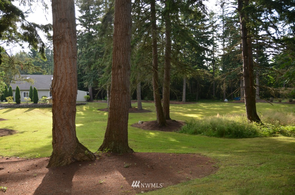 487 Cook Road Camano Island, WA 98282 - Photo 13 of 15 Gallery Image 13