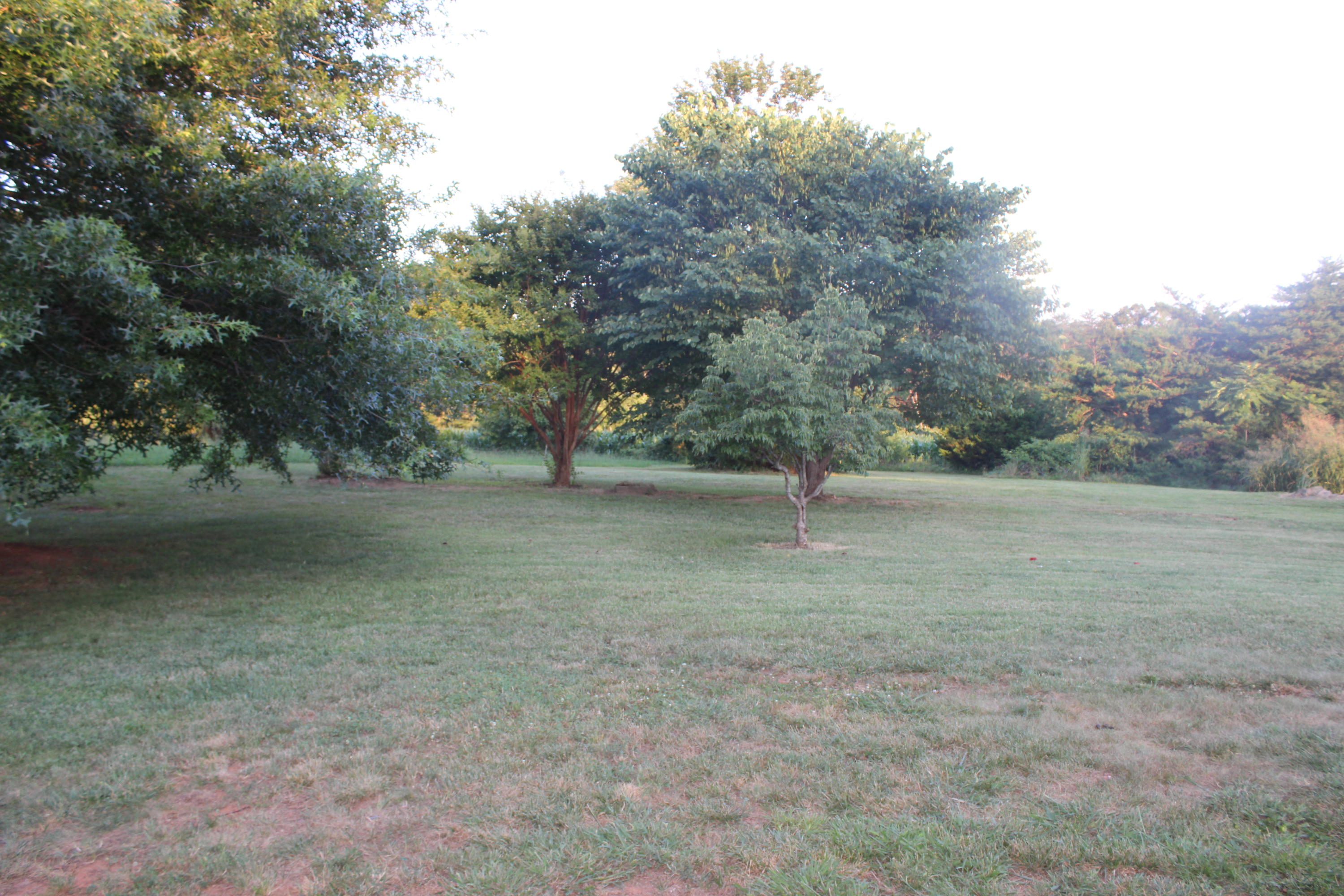 125 Evergreen Road Wirtz, VA 24184 - Photo 30 of 31 IMG_8651