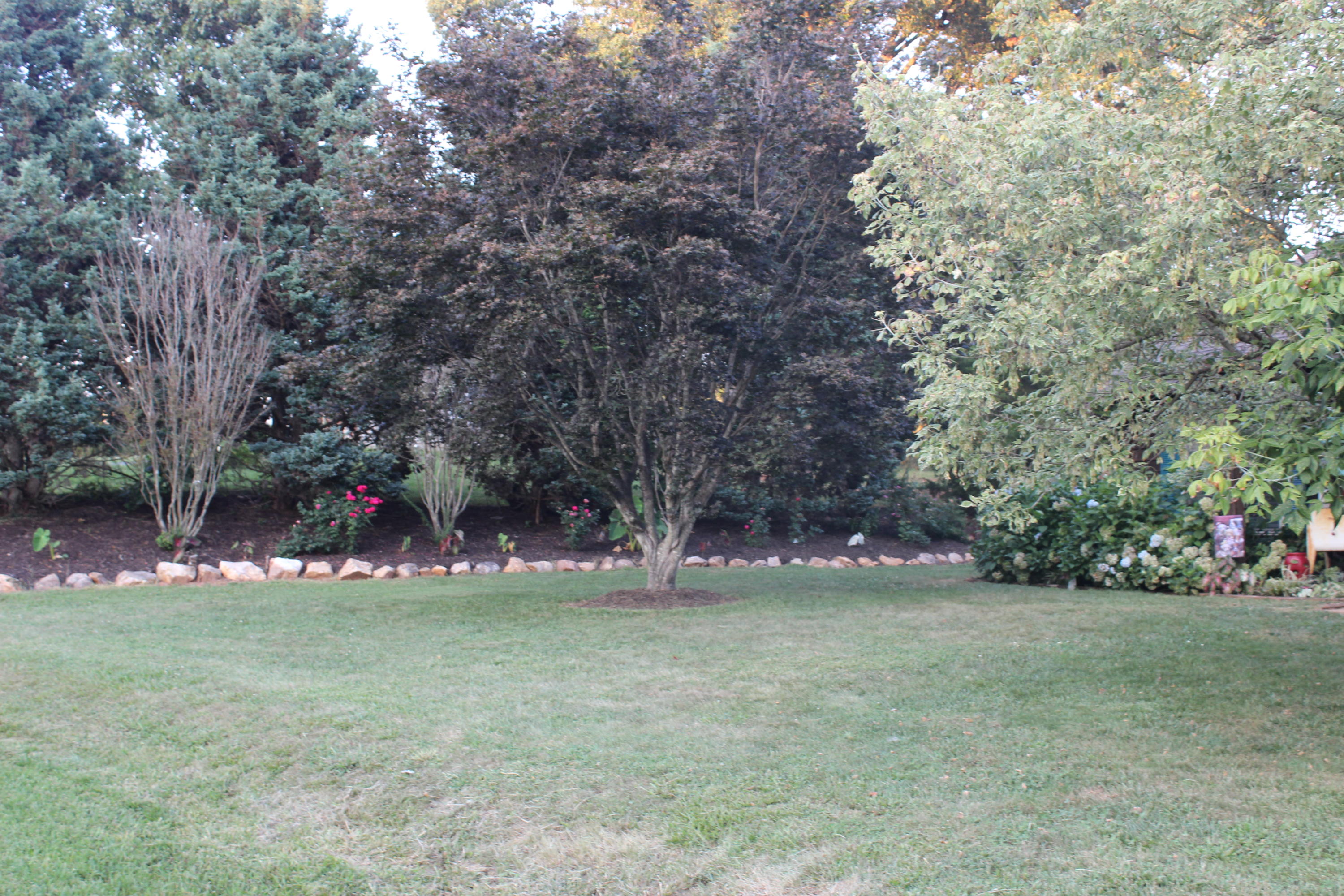 125 Evergreen Road Wirtz, VA 24184 - Photo 31 of 31 IMG_8652