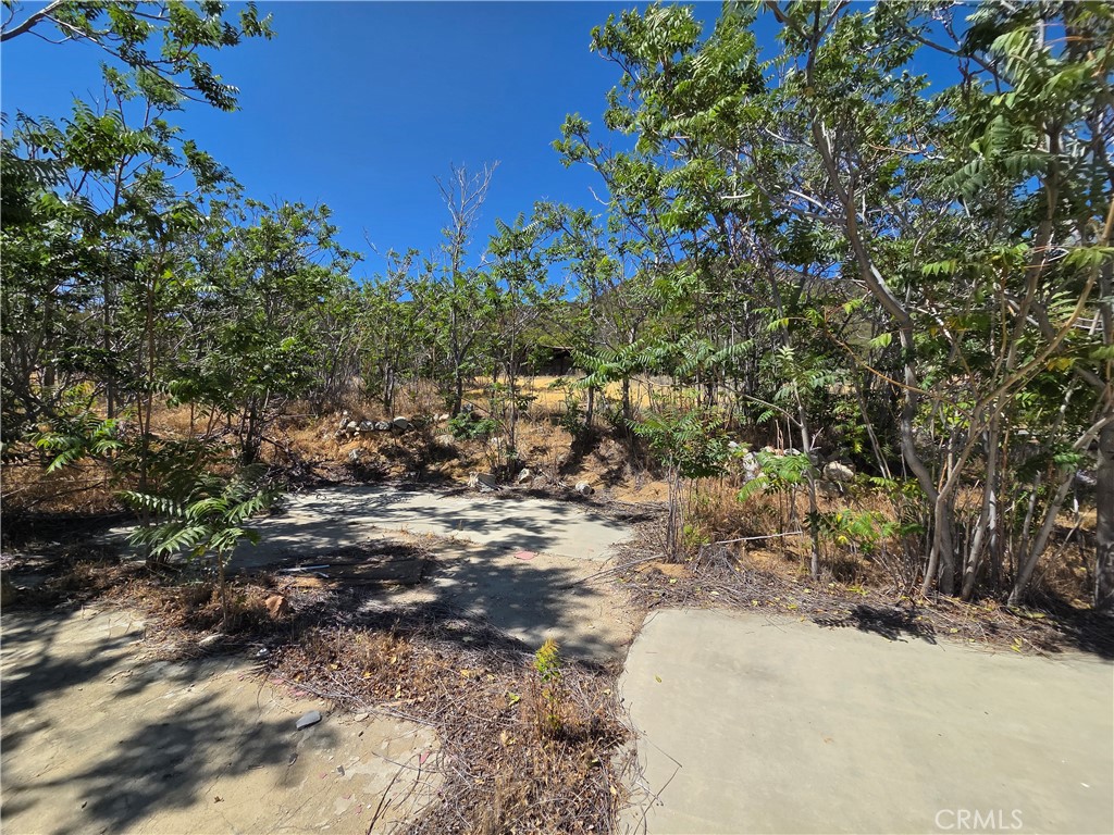 37210 Bohlen Road Anza, CA 92539 - Photo 22 of 22