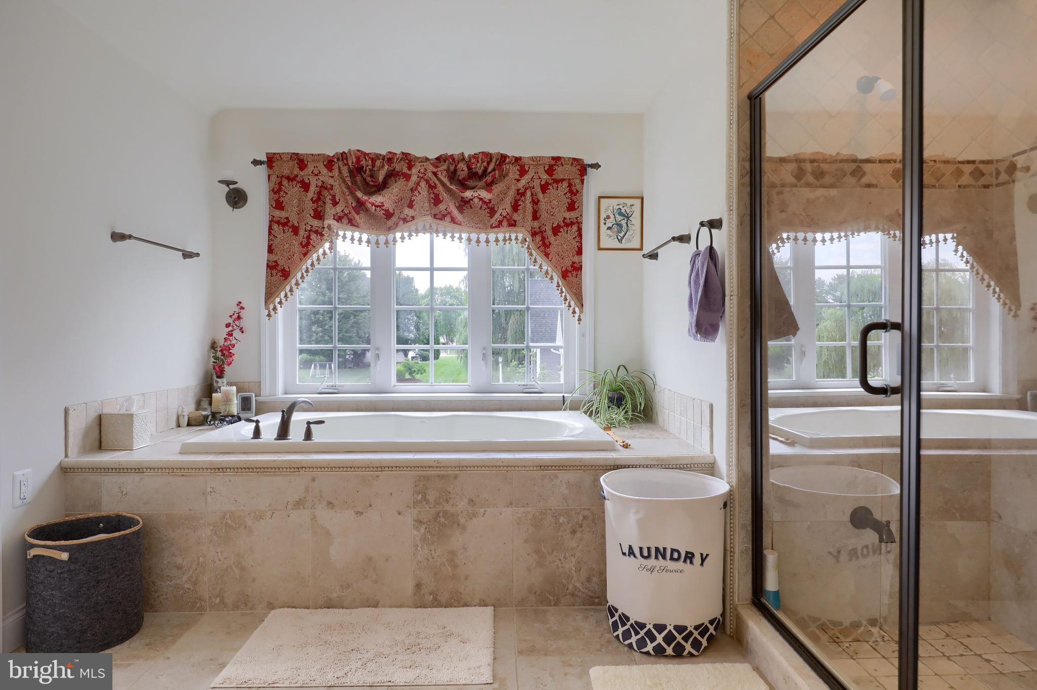 953 Buckwalter Road Lititz, PA 17543 - Photo 23 of 31 Primary jetted tub, window and walk-in shower door