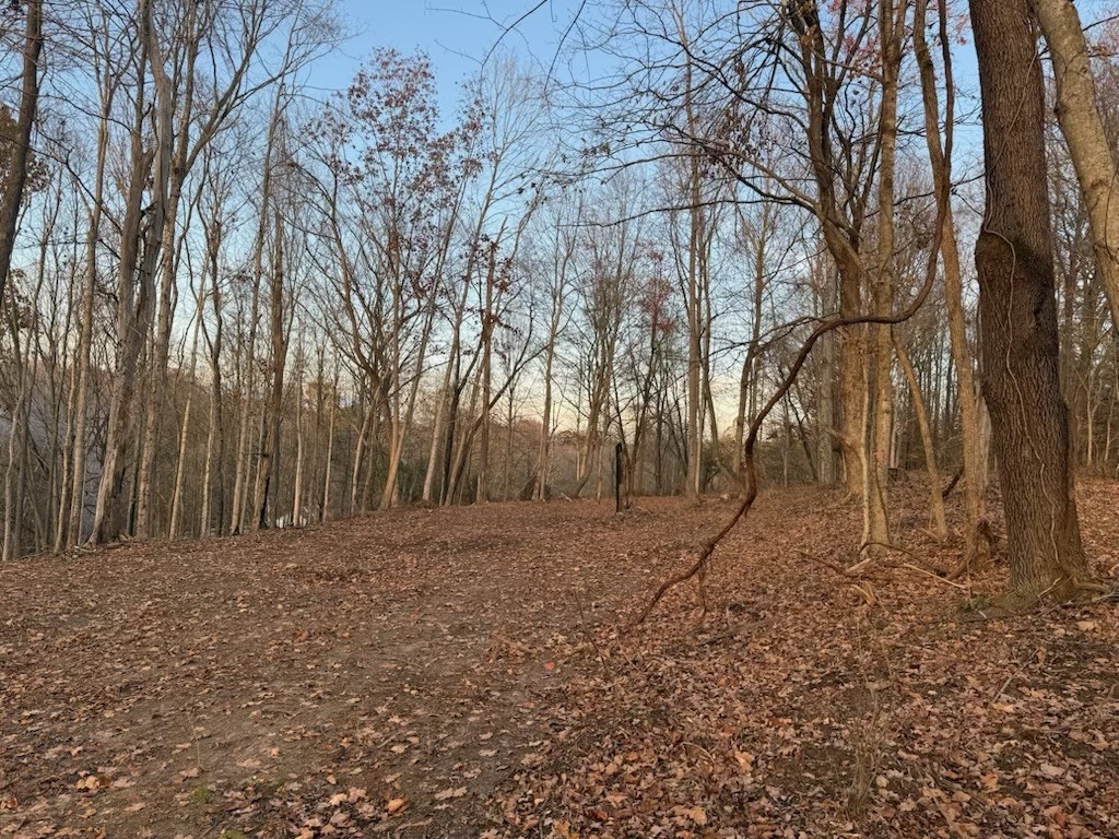 1548 Rabe Coats Road Westmoreland, TN 37186 - Photo 3 of 8 a view of a yard with trees