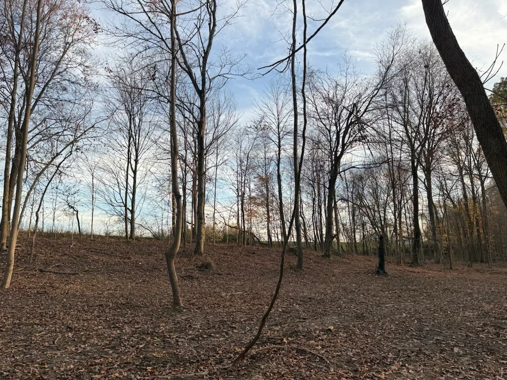 1548 Rabe Coats Road Westmoreland, TN 37186 - Photo 6 of 8 a backyard of a house with lots of green space