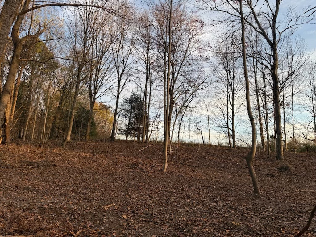1548 Rabe Coats Road Westmoreland, TN 37186 - Photo 7 of 8 a backyard of a house with lots of green space