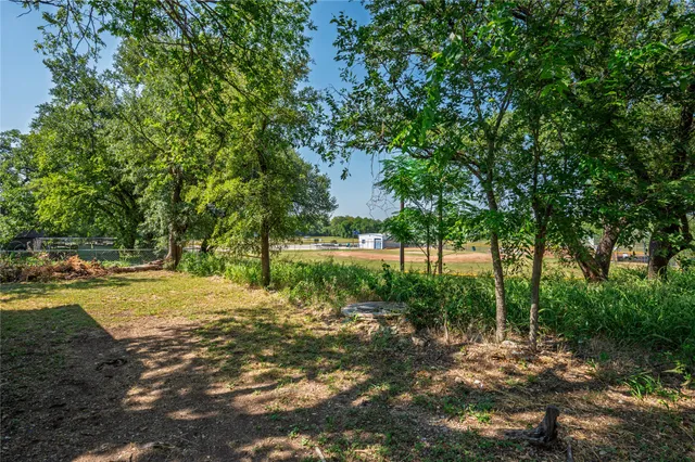a view of a yard with plants and trees