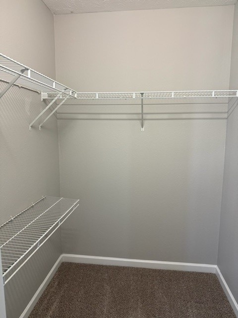 1026 Wolves Den Place Murfreesboro, TN 37128 - Photo 15 of 24