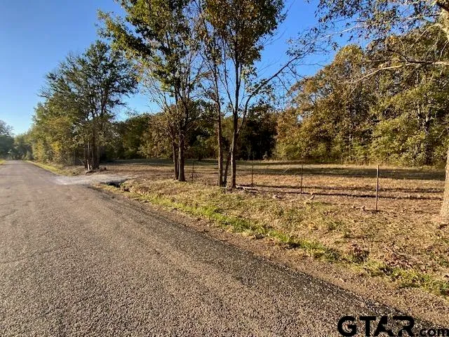 a view of empty space with large trees