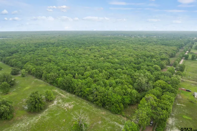 a view of a field with an ocean