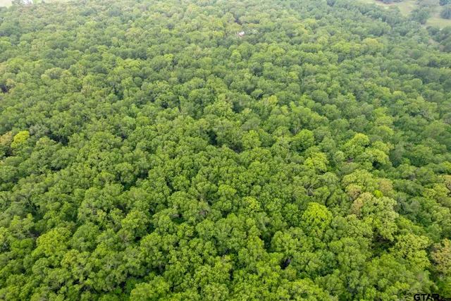 a view of a street with a park