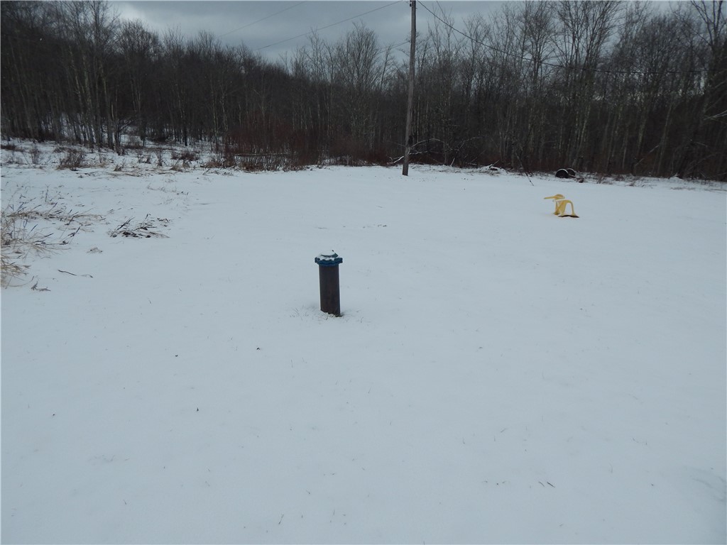 5684 Houck Mountain Road Walton, NY 13756 - Photo 27 of 29