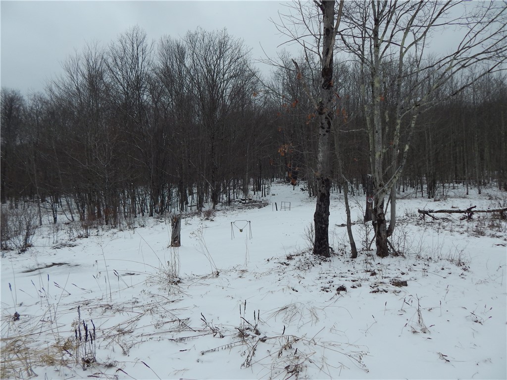 5684 Houck Mountain Road Walton, NY 13756 - Photo 28 of 29