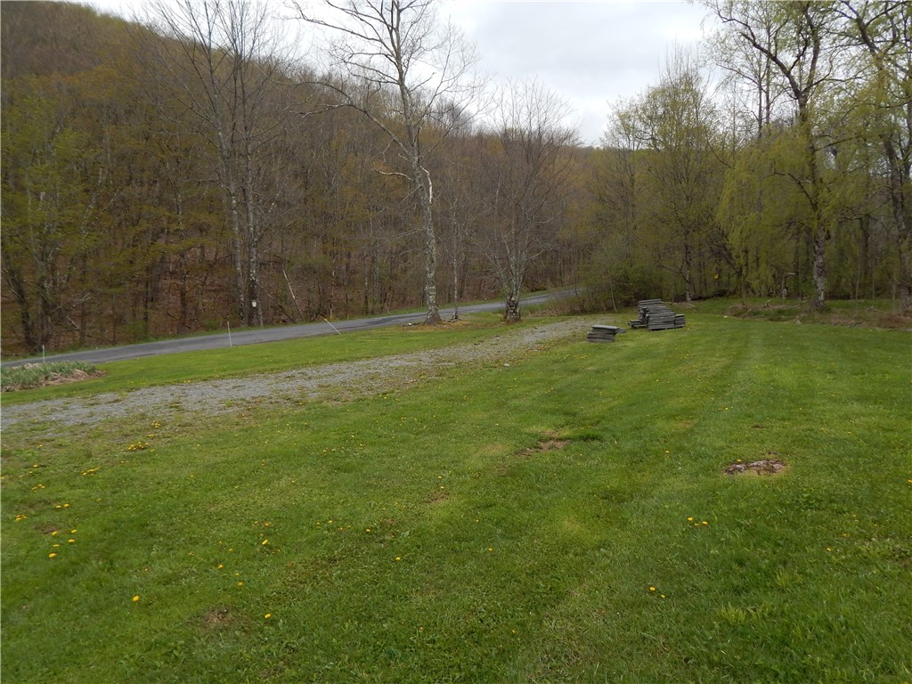 5684 Houck Mountain Road Walton, NY 13756 - Photo 30 of 30
