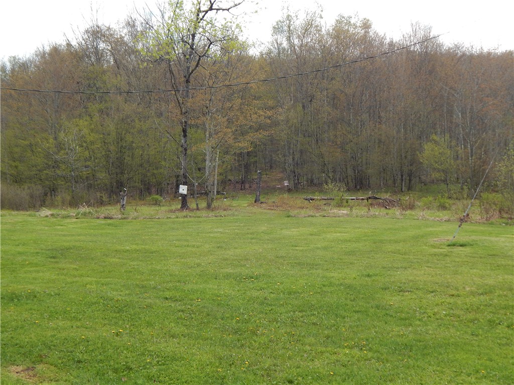5684 Houck Mountain Road Walton, NY 13756 - Photo 8 of 30