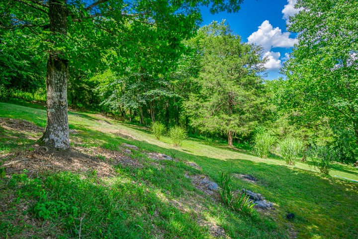0 Enigma Road Chestnut Mound, TN 38552 - Photo 23 of 24