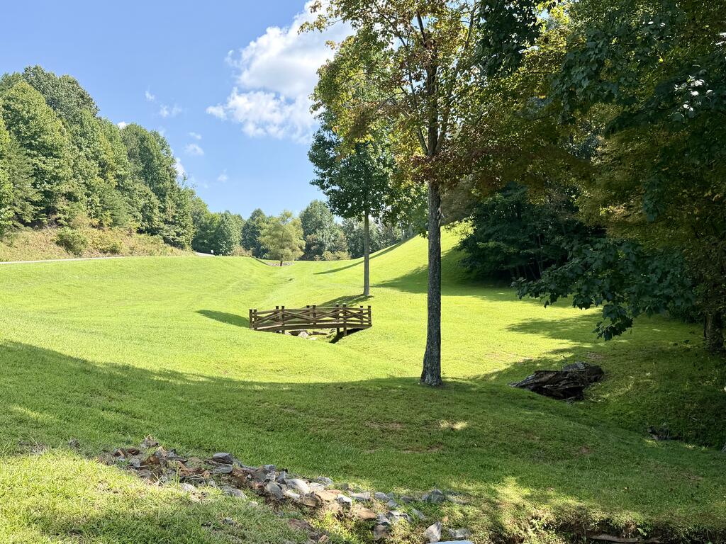 Lot 159 Tracks Hollow Murphy, NC 28906 - Photo 10 of 10 Community Pavilion Area