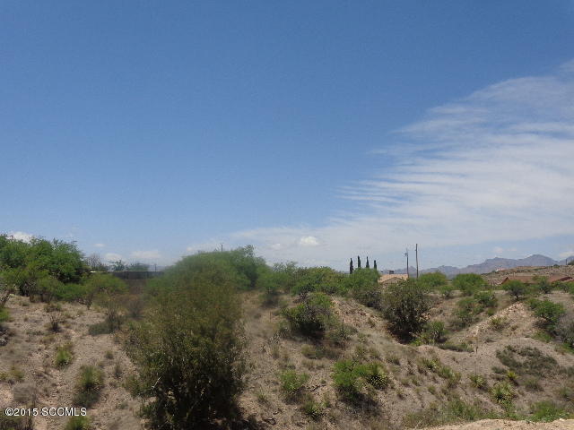 1120 Descanso Court Rio Rico, AZ 85648 - Photo 12 of 13