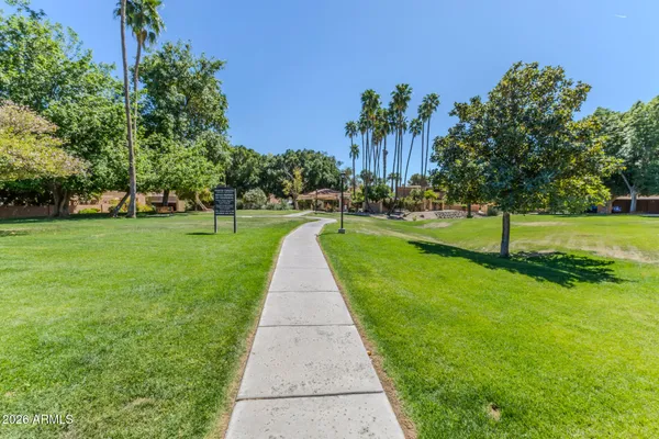 a view of a park with plants and trees