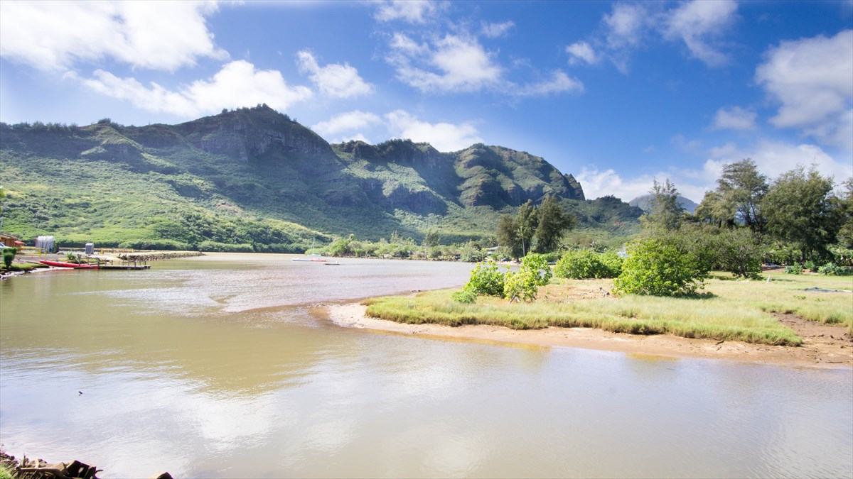 Waipuna Road, Unit 13 Lihue, HI 96766 - Photo 2 of 9
