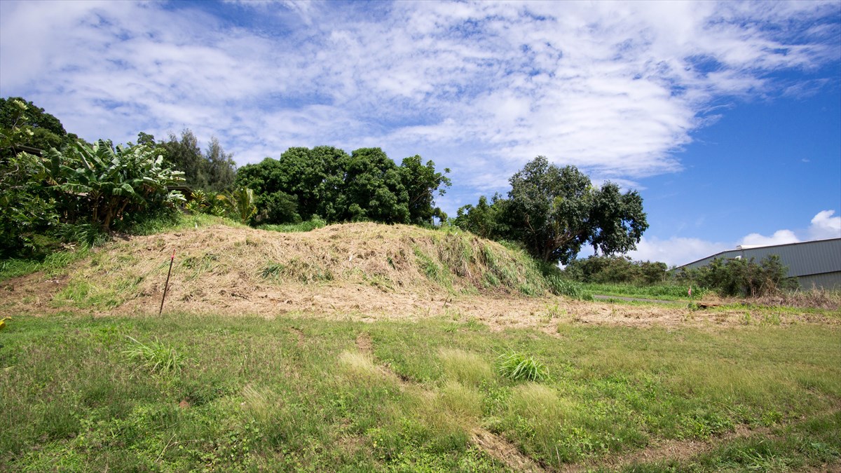 Waipuna Road, Unit 13 Lihue, HI 96766 - Photo 5 of 9