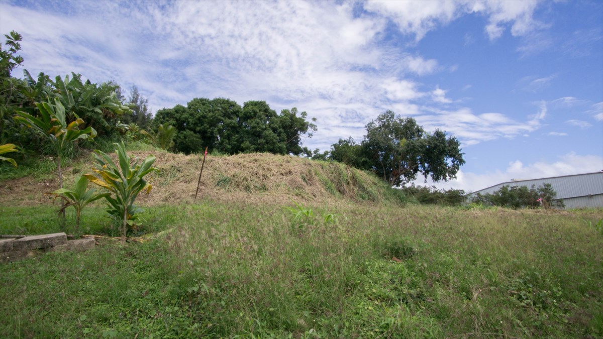 Waipuna Road, Unit 13 Lihue, HI 96766 - Photo 7 of 9
