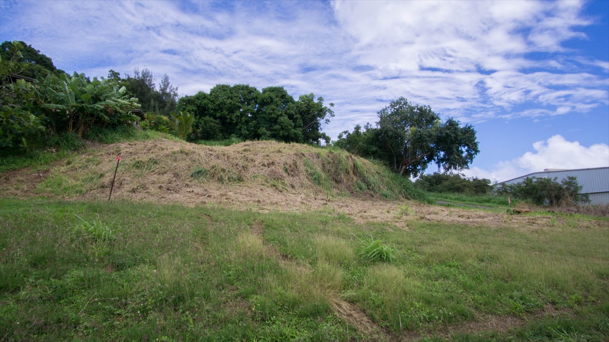 Waipuna Road, Unit 13 Lihue, HI 96766 - Photo 8 of 9