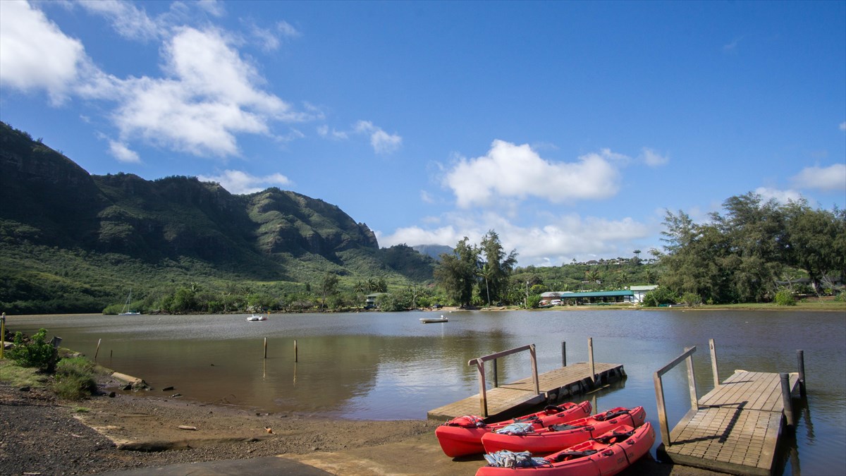 Waipuna Road, Unit 13 Lihue, HI 96766 - Photo 9 of 9