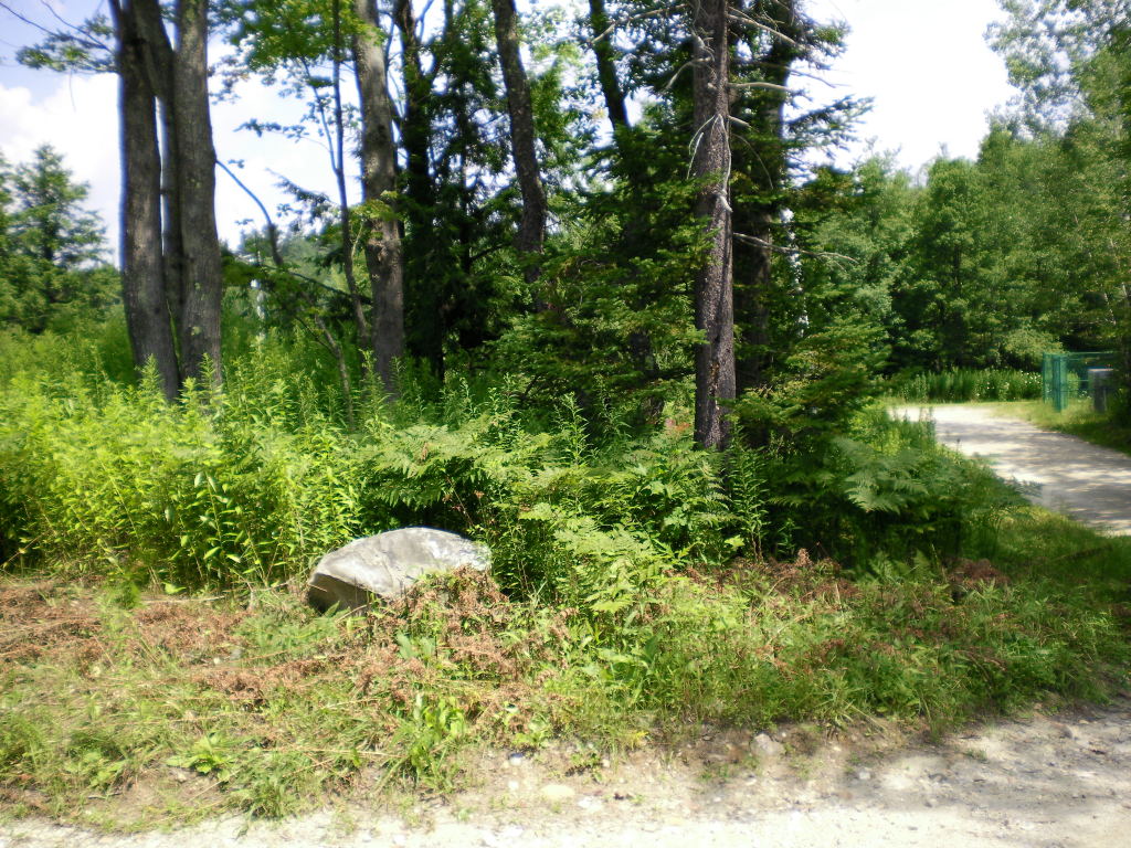 Lot # 85 Calvin Road Hinsdale, MA 01235 - Photo 1 of 3 Lot #85 Calvin Road