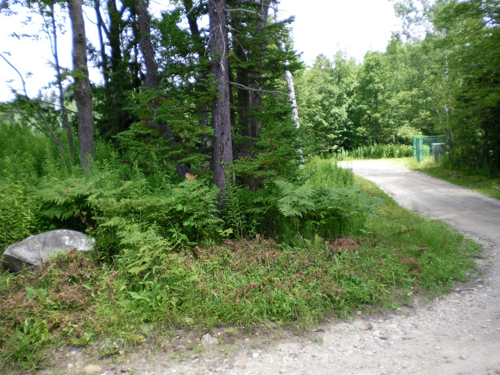 Lot # 85 Calvin Road Hinsdale, MA 01235 - Photo 3 of 3 Corner Of Lot
