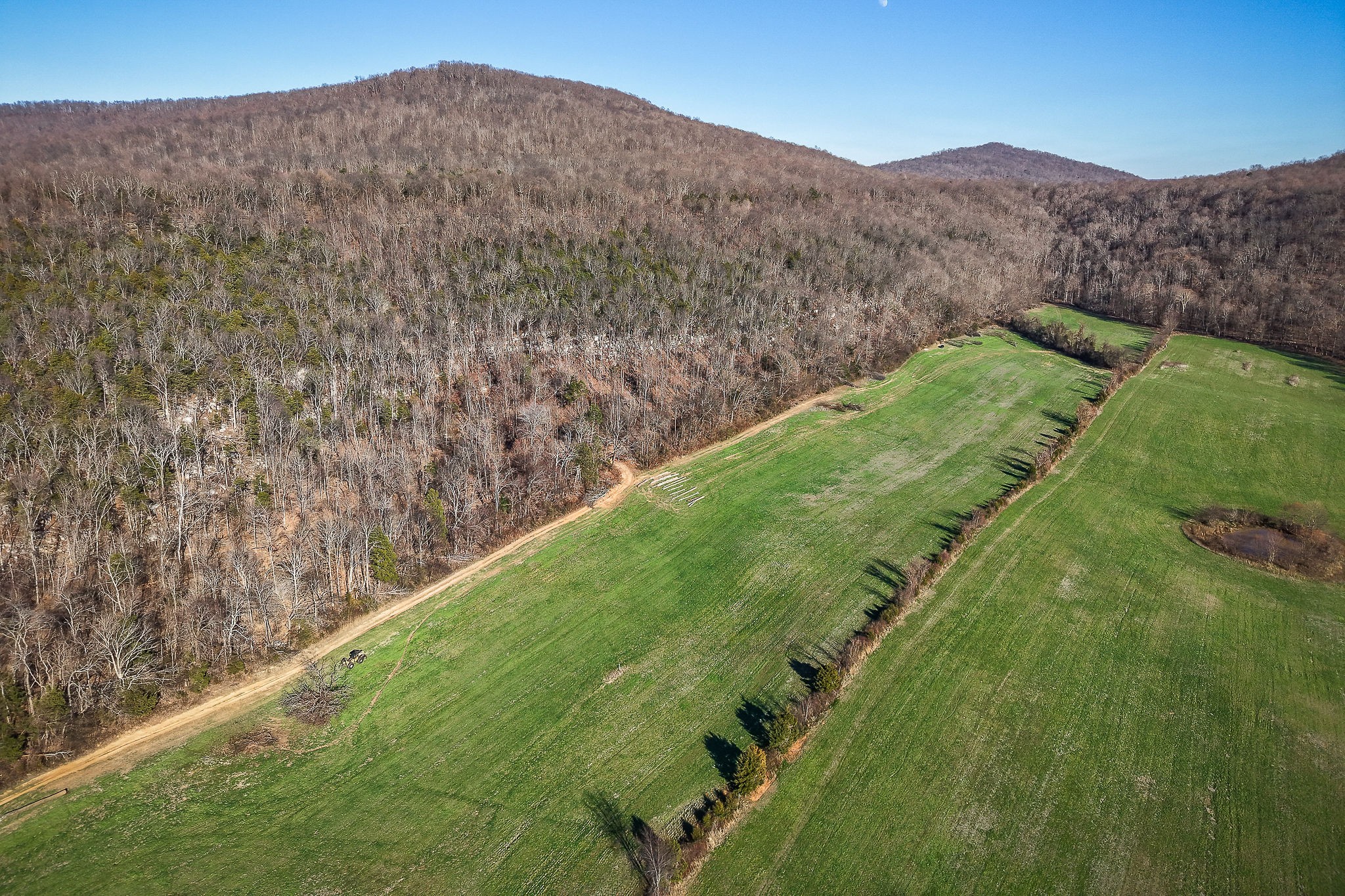 505 Thaxton Road McMinnville, TN 37110 - Photo 5 of 31 a view of a lush green hillside and a mountain