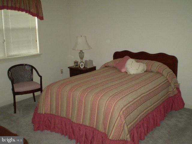 282 White Chapel Road Lancaster, PA 17603 - Photo 18 of 19 Gallery Image 18