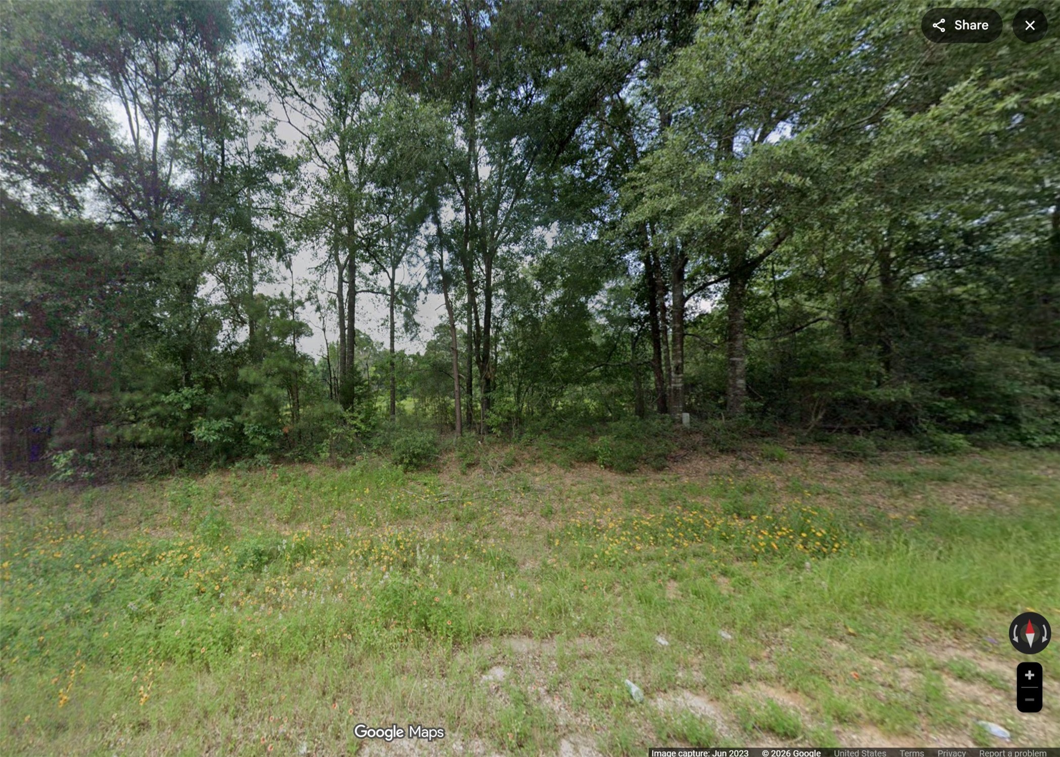 3081 Rd Willis Tx 77378 Road Willis, TX 77378 - Photo 2 of 2