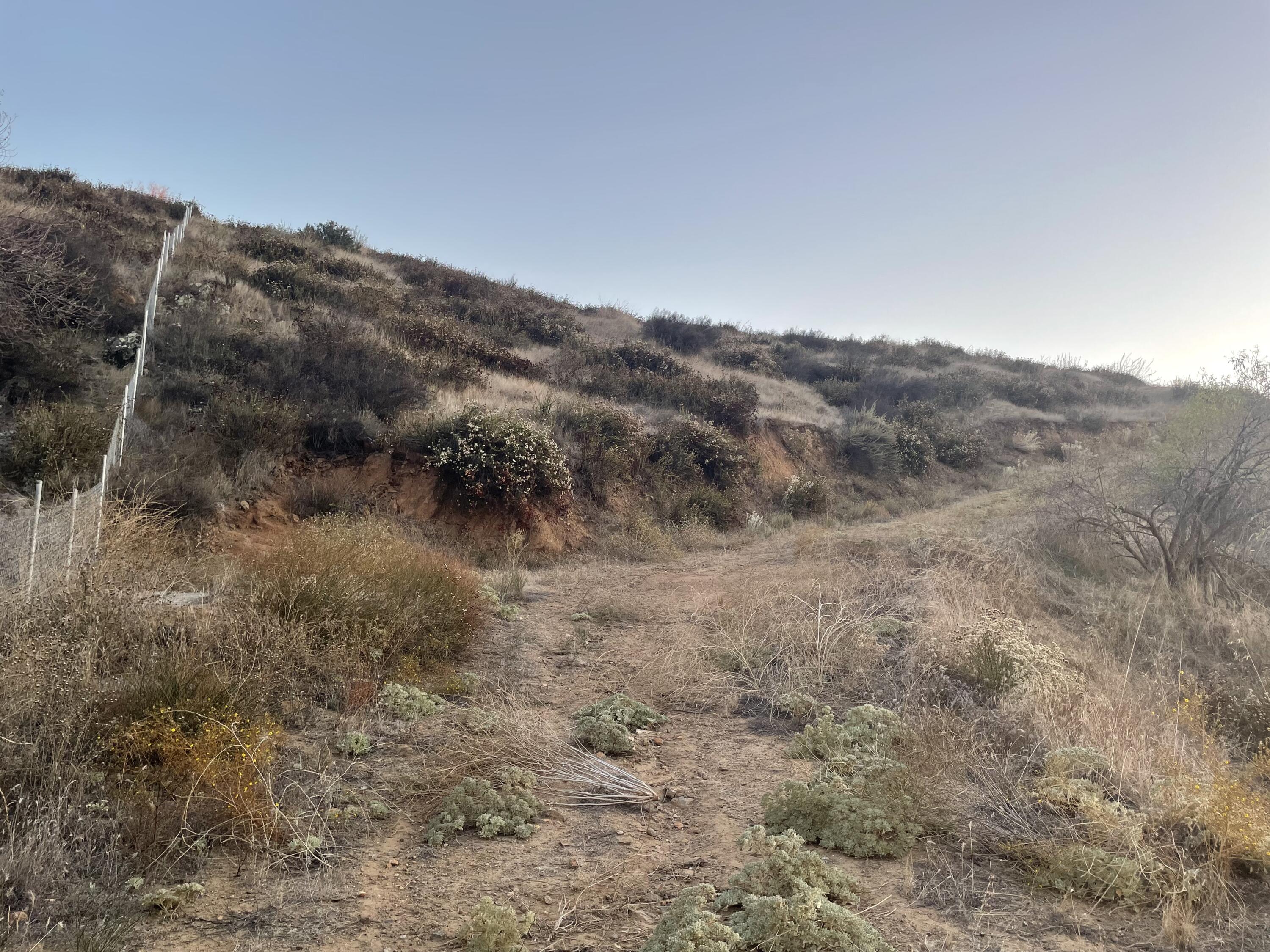 41095 Voyager Road Hemet, CA 92544 - Photo 7 of 26 IMG_2775