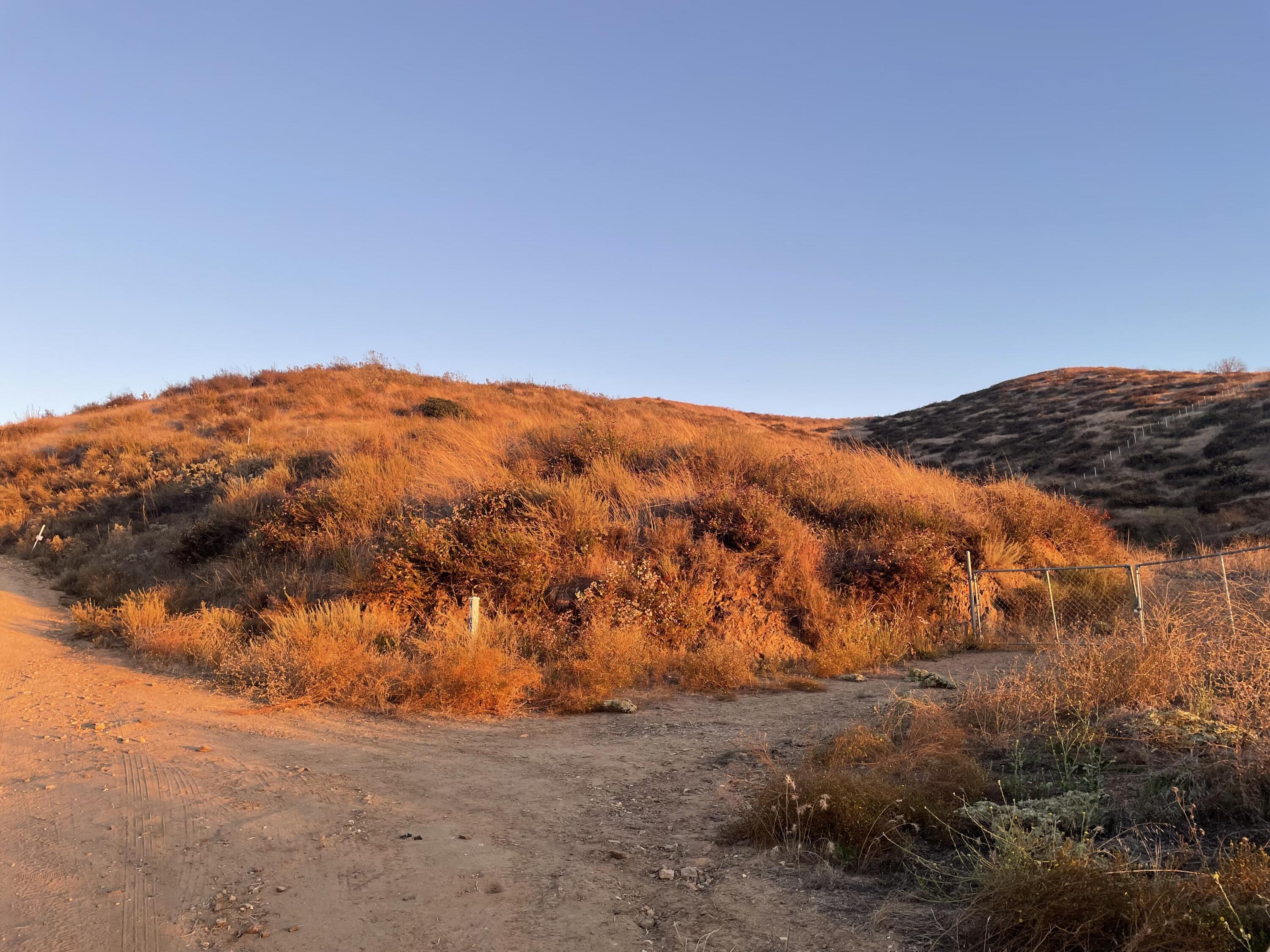 41095 Voyager Road Hemet, CA 92544 - Photo 9 of 26 IMG_2772