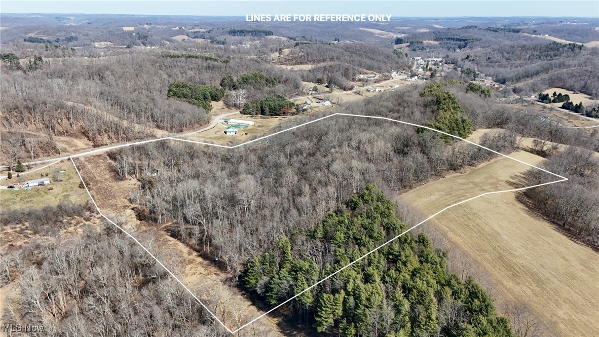 0 Bower Road Scio, OH 43988 - Photo 12 of 42 Bird's eye view featuring a view of trees