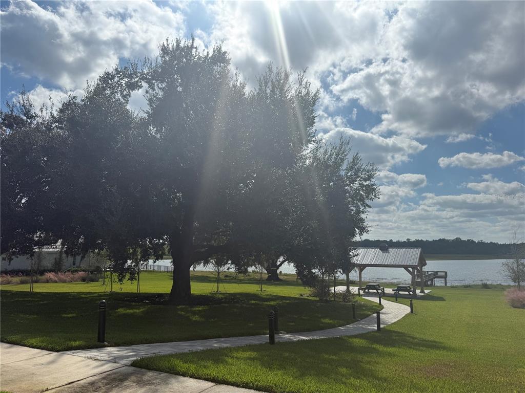 35588 Farmview Road Dade City, FL 33525 - Photo 51 of 52