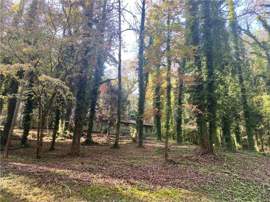 235 Hominey Hills Road Six Mile, SC 29682 - Photo 1 of 32