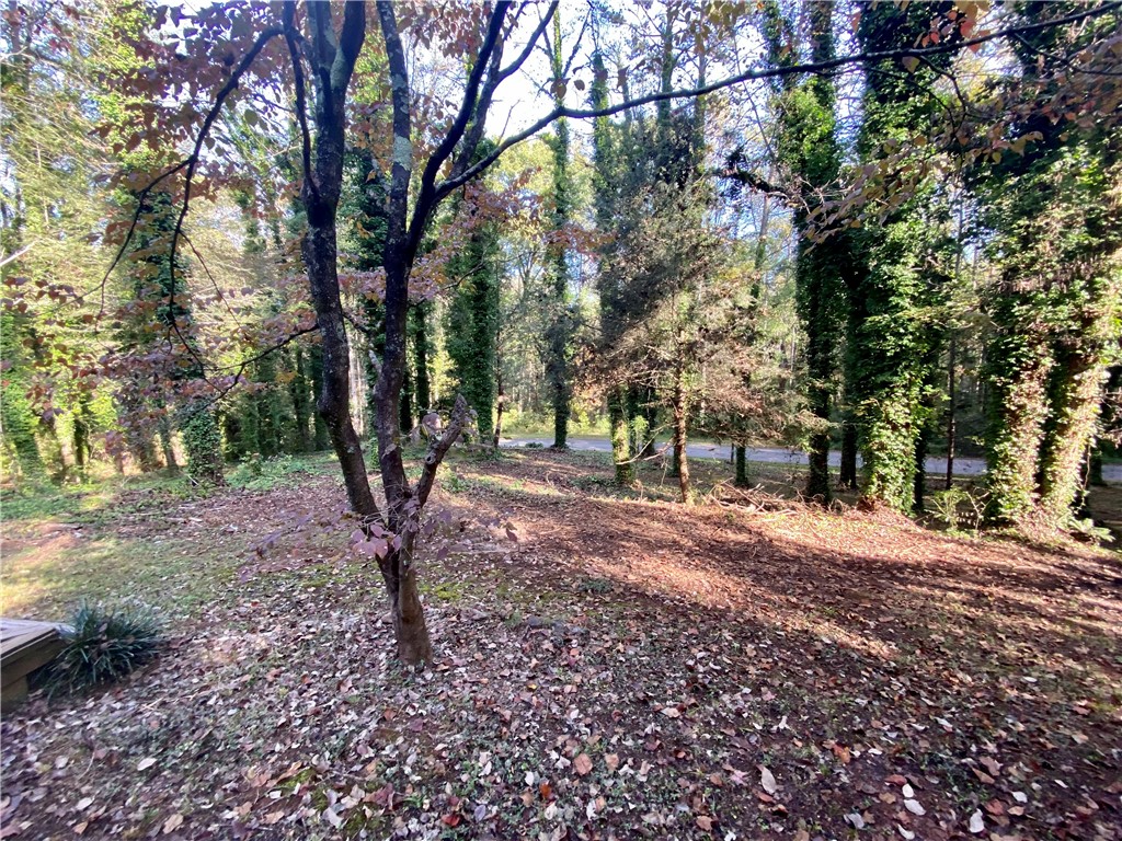 235 Hominey Hills Road Six Mile, SC 29682 - Photo 27 of 32