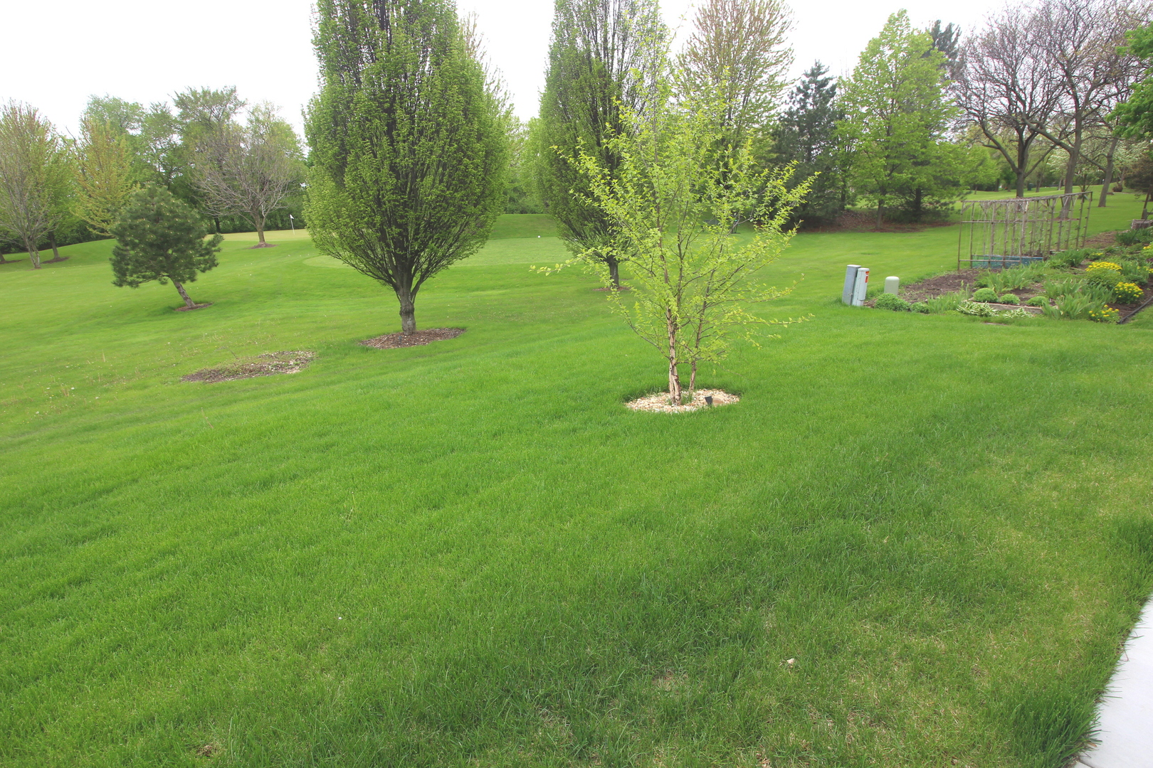 913 Surrey Road Addison, IL 60101 - Photo 37 of 44