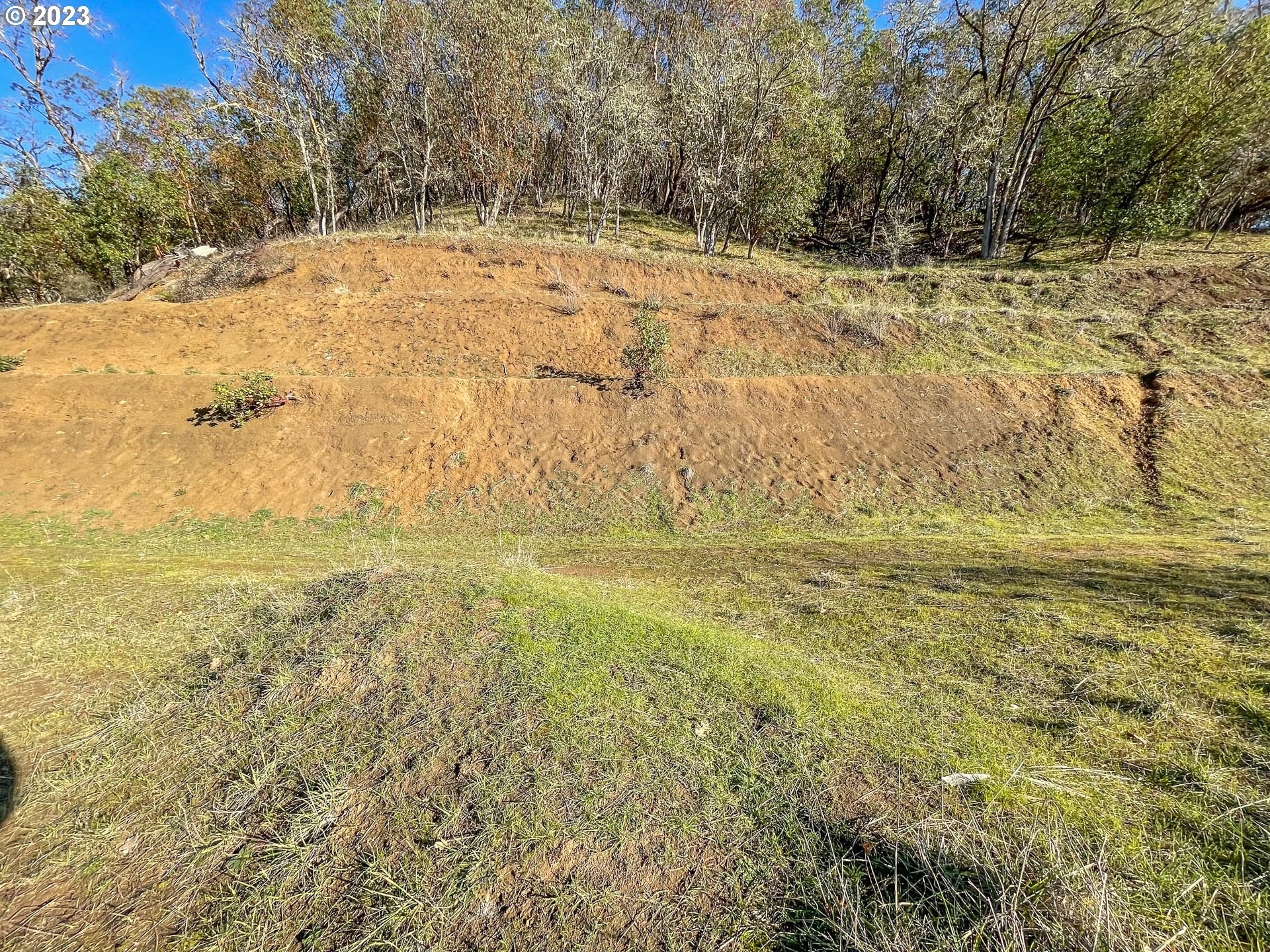 719 North View Drive Winchester, OR 97495 - Photo 2 of 10