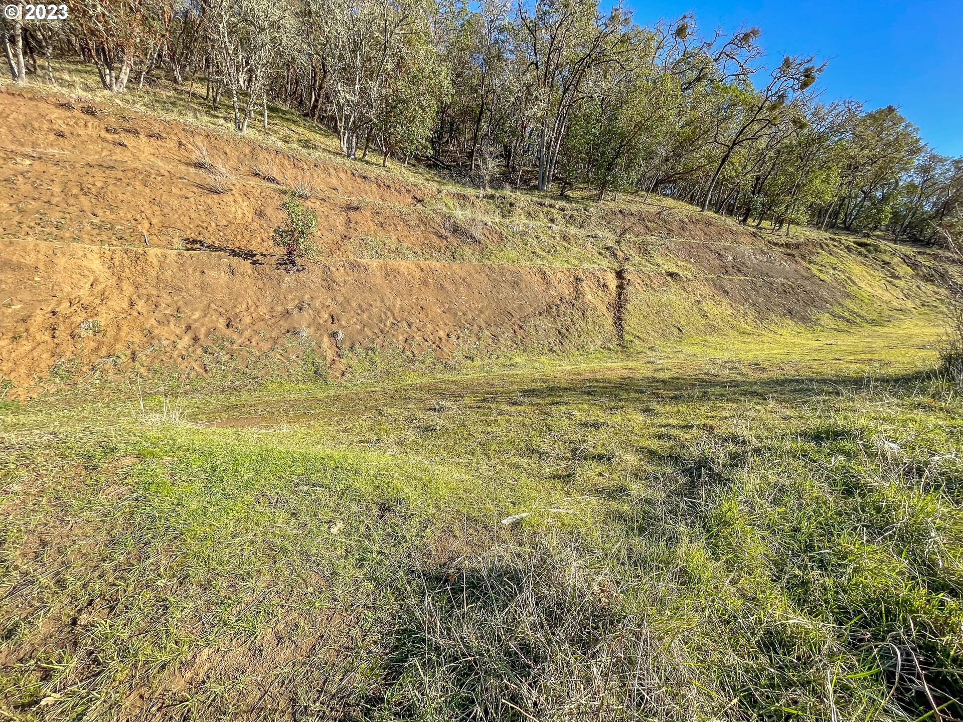 719 North View Drive Winchester, OR 97495 - Photo 3 of 10