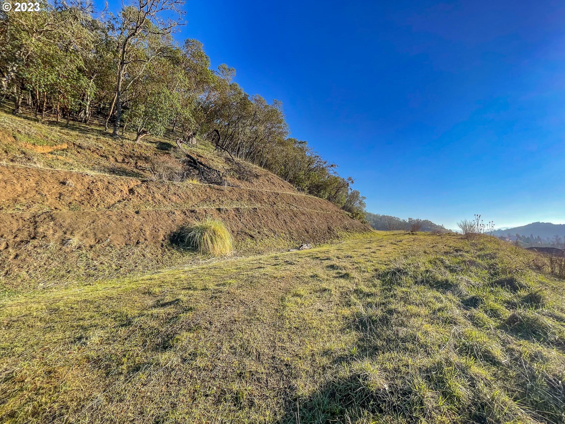 719 North View Drive Winchester, OR 97495 - Photo 5 of 10