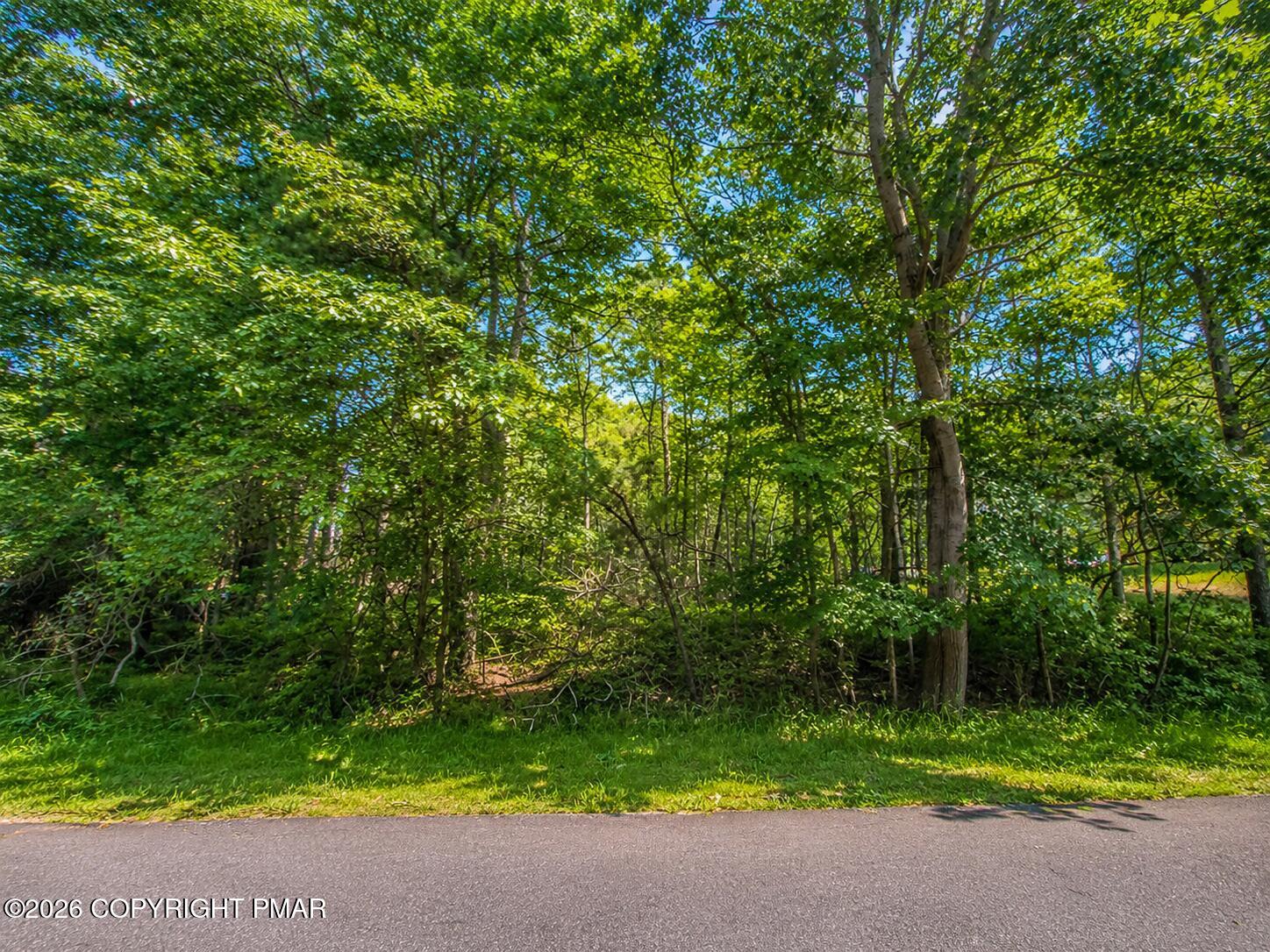 1125 Clover Road Long Pond, PA 18334 - Photo 1 of 3 Land