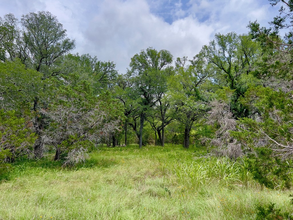 Tbd Narrows Road, Unit 19PT Blanco, TX 78606 - Photo 5 of 8