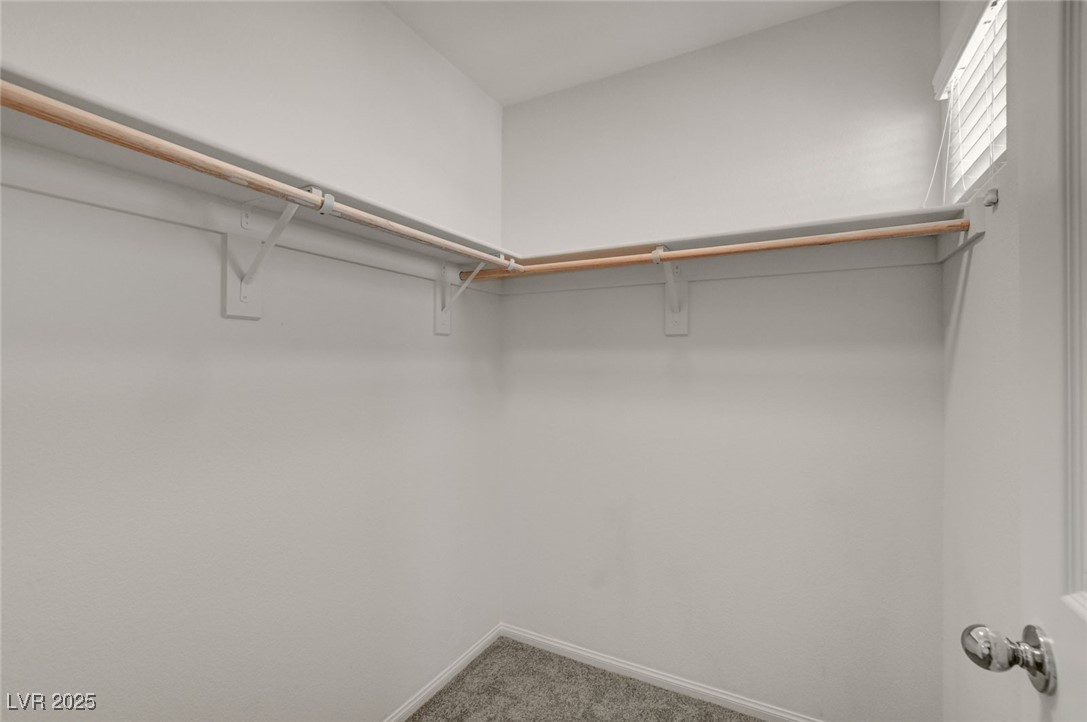 1360 Cerulean Avenue Henderson, NV 89002 - Photo 48 of 62 Walk in closet featuring light carpet