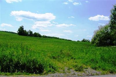 0 County Highway Oneonta, NY 13820 - Photo 1 of 1
