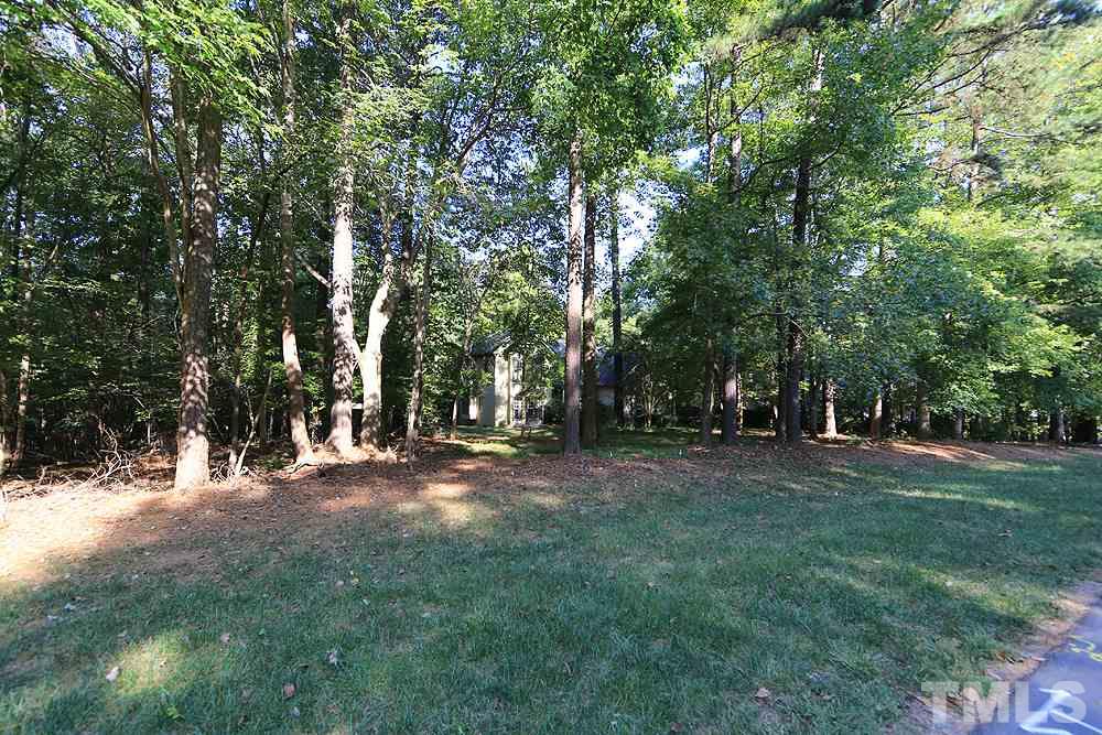 10745 Dunhill Terrace Raleigh, NC 27615 - Photo 19 of 19